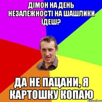 дімон на день незалежності на шашлики їдеш? да не пацани, я картошку копаю