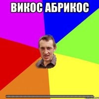 викос абрикос ))))))))))))))))))))))))))))))))))))))))))))))))))))))))))))))))))))))))))))))))))))))))))))))))))))))))))))))