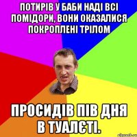 Потирів у баби Наді всі помідори, вони оказалися покроплені трілом Просидів пів дня в туалєті.