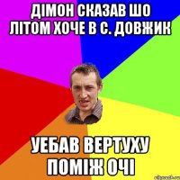 дімон сказав шо літом хоче в с. Довжик уебав вертуху поміж очі