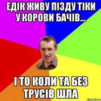 Едік живу пізду тіки у корови бачів... і то коли та без трусів шла