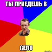 ты приедешь в село