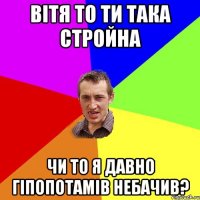 ВІТЯ то ти така стройна чи то я давно гіпопотамів небачив?