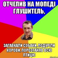 Отчепив на мопеді глушитель, загавкали собаки, подуріли корови, порозганяв всю птицю