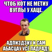 чтоб кот не метиу вуглы у хаце, адпиздзиу и сам абасцау усё падрад!