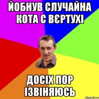 йобнув случайна кота с вєртухі досіх пор ізвіняюсь