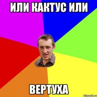 или кактус или ВЕРТУХА