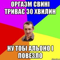 оргазм свині триває 30 хвилин ну тобі Альоно і повезло