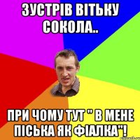 Зустрів Вітьку Сокола.. При чому тут " в мене піська як фіалка"!