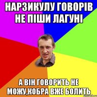 Нарзикулу Говорів не піши Лагуні а він говорить не можу,кобра вже болить