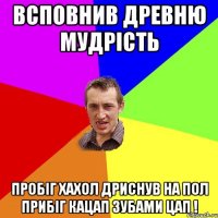 Всповнив древню мудрість Пробіг Хахол дриснув на пол прибіг Кацап зубами цап !