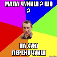 мала чуйиш ? шо ? на хую переночуиш