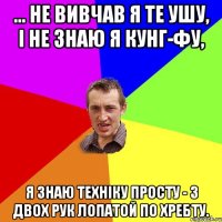 ... не вивчав я те ушу, і не знаю я кунг-фу, я знаю техніку просту - з двох рук лопатой по хребту.