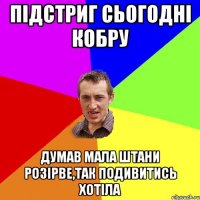 підстриг сьогодні кобру думав мала штани розірве,так подивитись хотіла