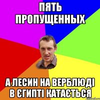 пять пропущенных а Лесин на верблюді в Єгипті катається