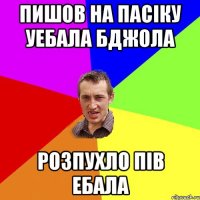 ПИШОВ НА ПАСIКУ УЕБАЛА БДЖОЛА РОЗПУХЛО ПIВ ЕБАЛА