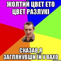 жолтий цвет ето цвет разлукі сказав я заглянувши їй у вахо