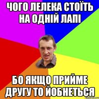 ЧОГО ЛЕЛЕКА СТОЇТЬ НА ОДНІЙ ЛАПІ БО ЯКЩО ПРИЙМЕ ДРУГУ ТО ЙОБНЕТЬСЯ