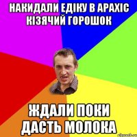 накидали едіку в арахіс кізячий горошок ждали поки дасть молока