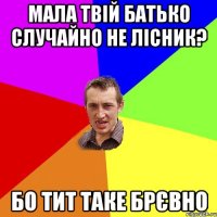 МАЛА ТВІЙ БАТЬКО СЛУЧАЙНО НЕ ЛІСНИК? БО ТИТ ТАКЕ БРЄВНО