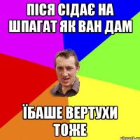 Піся сідає на шпагат як Ван Дам Їбаше вертухи тоже