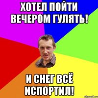 Хотел пойти вечером гулять! И снег всё испортил!