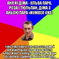 Аня йі Діма - кльва пара, роза і тюльпан, Діма з Аньою пара «number one» Чува-чува-чувачі, тілі-тілі-тєста Діма й Аня найкращі на селі женіх і нєвєста Бляха-муха, то капец,то капец-пец, як вони пасували Всі дивилися на їх і офігевали