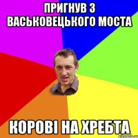 пригнув з васьковецького моста корові на хребта