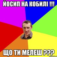 йосип на кобилі !!! що ти мелеш ???