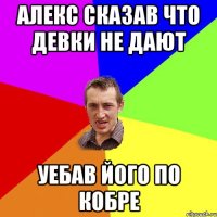 Алекс сказав что девки не дают уебав його по кобре