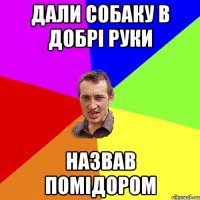 ДАЛИ СОБАКУ В ДОБРІ РУКИ НАЗВАВ ПОМІДОРОМ