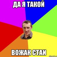 Да я такой вожак стаи