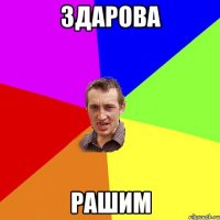 Здарова Рашим