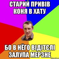 старий привів коня в хату бо в нёго відітєлі залупа мерзне