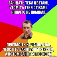 Закідать тебя цветамі, утоміть тебя стіхамі, ніначто не намікая, прігласіть на чашку чая, угостіть ванільним кексом, а потом заняться сексом