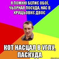 Я помню белиє обої, чьорная посуда, нас в хрущьовкє двоє кот насцал в углу, паскуда