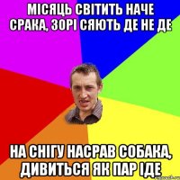 місяць світить наче срака, зорі сяють де не де на снігу насрав собака, дивиться як пар іде