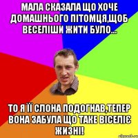 Мала сказала що хоче домашнього пітомця,щоб веселіши жити було... То я її слона подогнав,тепер вона забула що таке віселіє жизні!