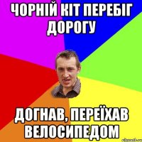 чорній кіт перебіг дорогу догнав, переїхав велосипедом