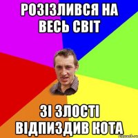 розізлився на весь світ зі злості відпиздив кота