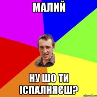 малий ну шо ти іспалняєш?