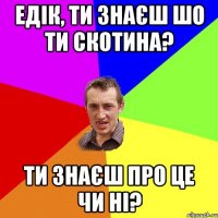 едік, ти знаєш шо ти скотина? ти знаєш про це чи ні?