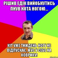 рішив едік вийобнутись пнув кота ногою... кіт уже тиждень ногу не відпускає, жує у себе на коврику!