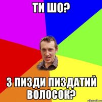 Ти шо? З пизди пиздатий волосок?