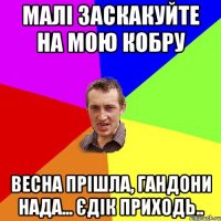 Малі заскакуйте на мою кобру весна прішла, гандони нада... Єдік приходь..