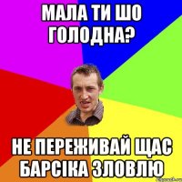 мала ти шо голодна? не переживай щас барсіка зловлю