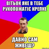 вітьок яке в тебе рукопожатіє крепке давно сам живеш?