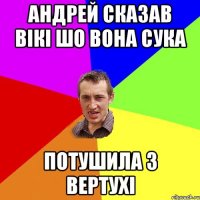 андрей сказав вікі шо вона сука потушила з вертухі