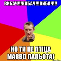 Вибач!!!Вибач!!!Вибач!!! Но ти не птіца маєво пальота!