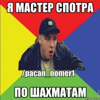 Я мастер спотра По шахматам